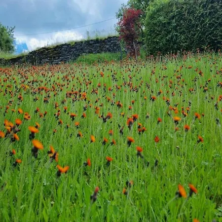 In Borstendorf Nahe Erzgebirge * Grunhainichen