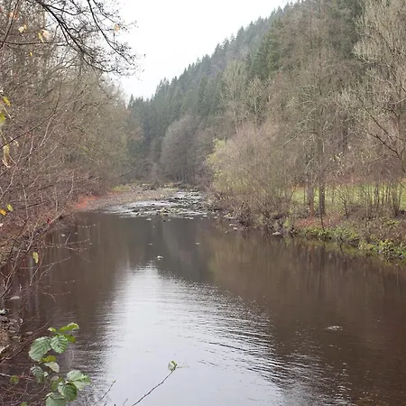 In Borstendorf Nahe Erzgebirge Villa Grunhainichen