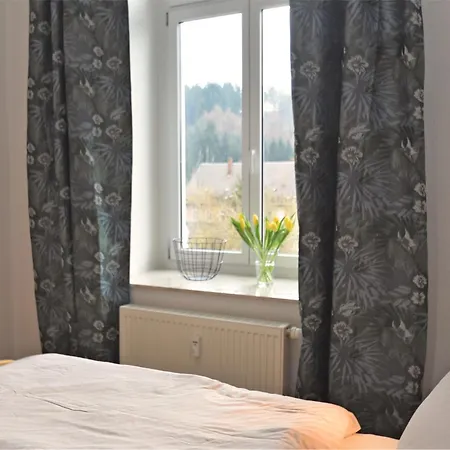 In Borstendorf Nahe Erzgebirge Villa