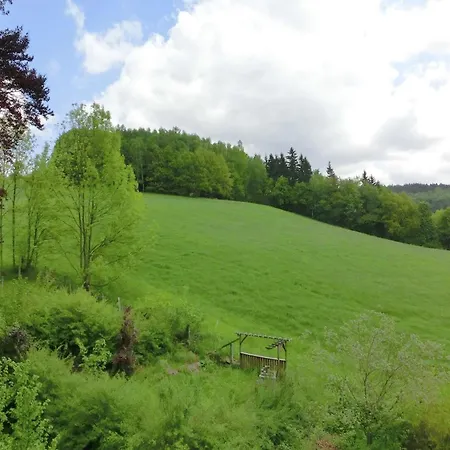 In Borstendorf Nahe Erzgebirge